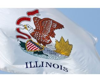 Cash for a valid vehicle title in Illinois