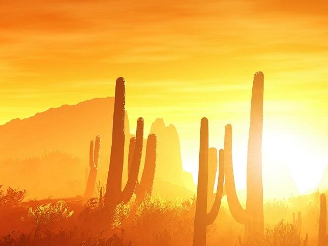 You have options when you need to find a direct online title loan provider in Phx.