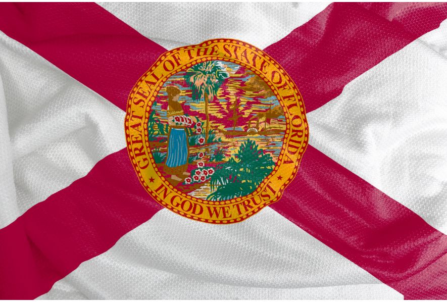 Title loans with quick equity funding in FL