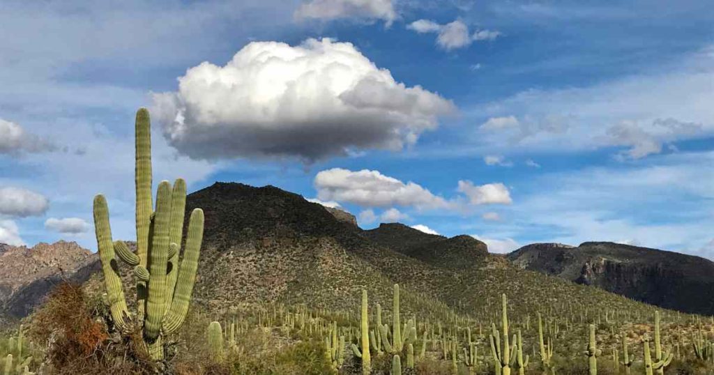 Sabino Canyon in Tucson AZ